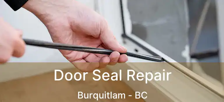  Door Seal Repair Burquitlam - BC