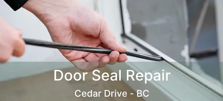  Door Seal Repair Cedar Drive - BC