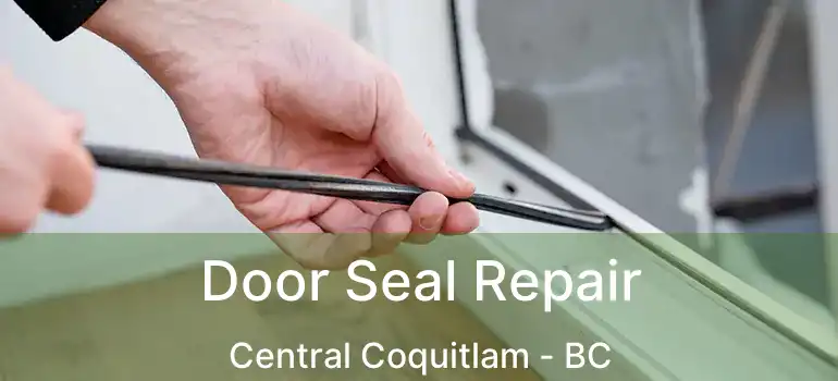 Door Seal Repair Central Coquitlam - BC