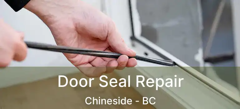 Door Seal Repair Chineside - BC