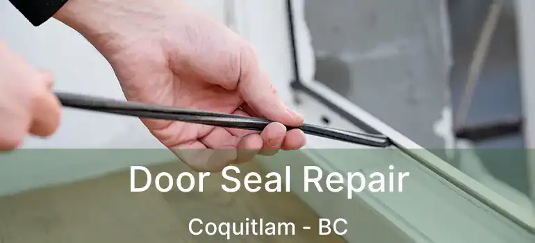  Door Seal Repair Coquitlam - BC