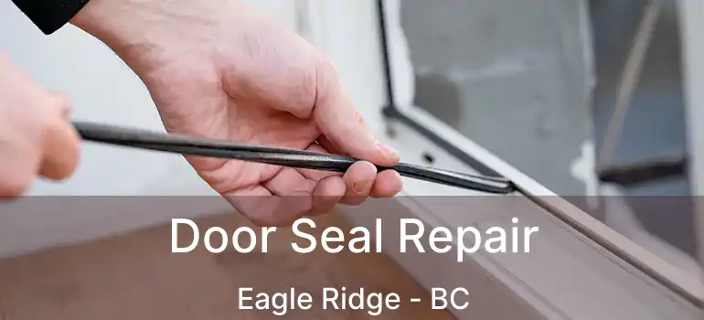  Door Seal Repair Eagle Ridge - BC