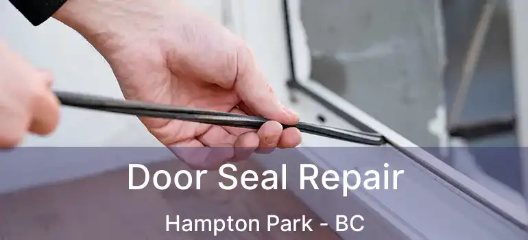  Door Seal Repair Hampton Park - BC