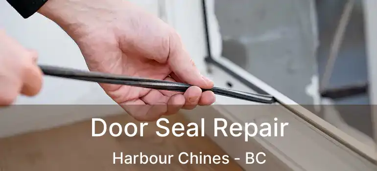  Door Seal Repair Harbour Chines - BC