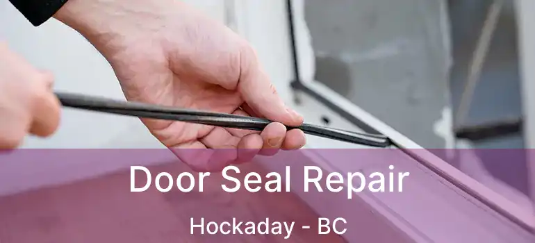  Door Seal Repair Hockaday - BC