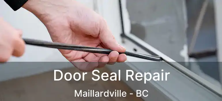  Door Seal Repair Maillardville - BC