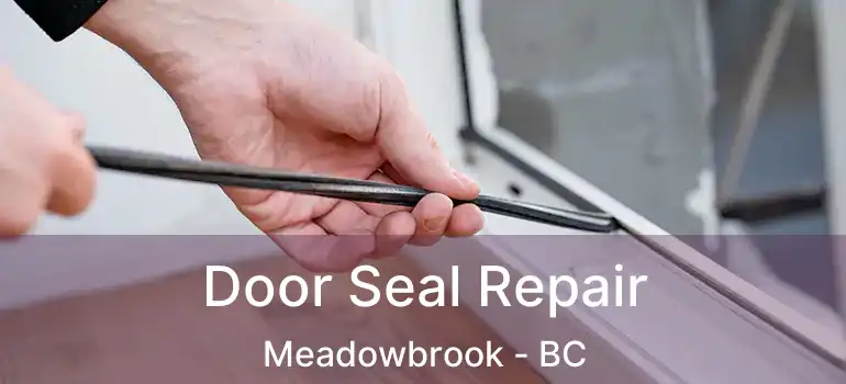  Door Seal Repair Meadowbrook - BC
