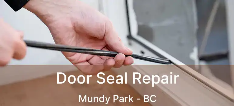  Door Seal Repair Mundy Park - BC