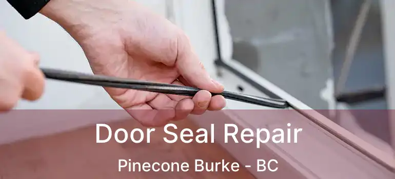  Door Seal Repair Pinecone Burke - BC