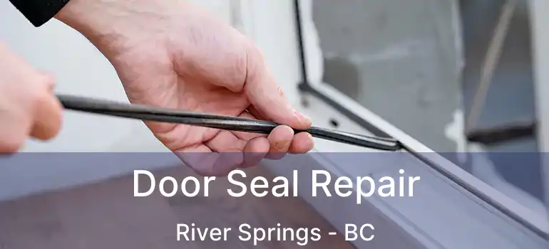  Door Seal Repair River Springs - BC