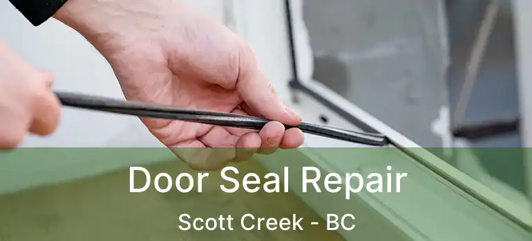  Door Seal Repair Scott Creek - BC