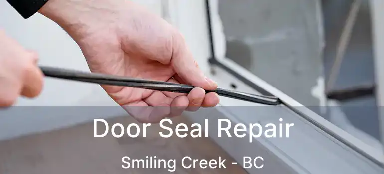  Door Seal Repair Smiling Creek - BC