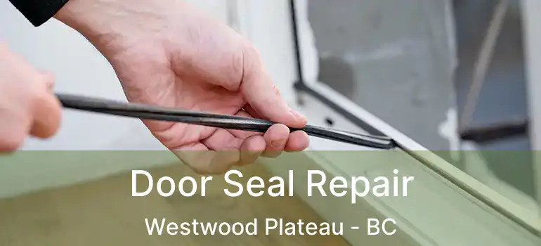  Door Seal Repair Westwood Plateau - BC