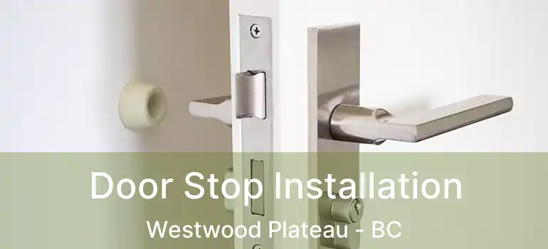  Door Stop Installation Westwood Plateau - BC