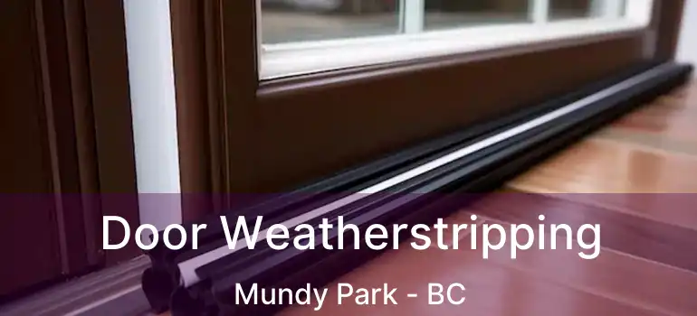  Door Weatherstripping Mundy Park - BC