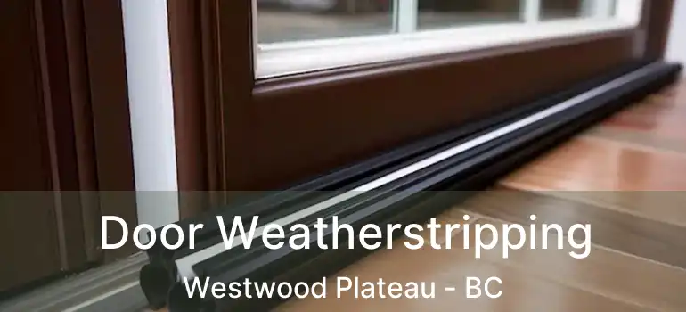  Door Weatherstripping Westwood Plateau - BC