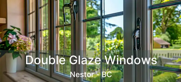  Double Glaze Windows Nestor - BC
