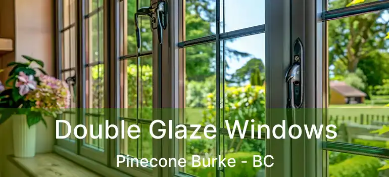  Double Glaze Windows Pinecone Burke - BC