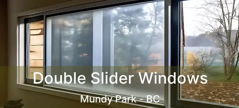  Double Slider Windows Mundy Park - BC