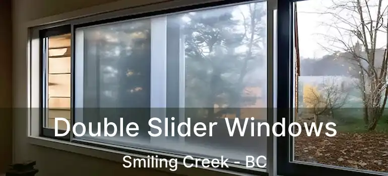  Double Slider Windows Smiling Creek - BC
