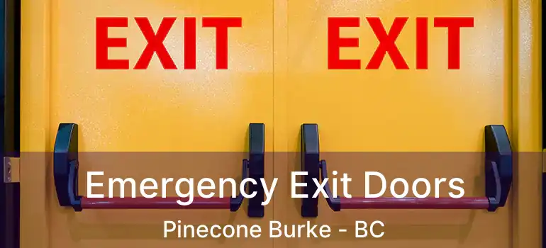  Emergency Exit Doors Pinecone Burke - BC
