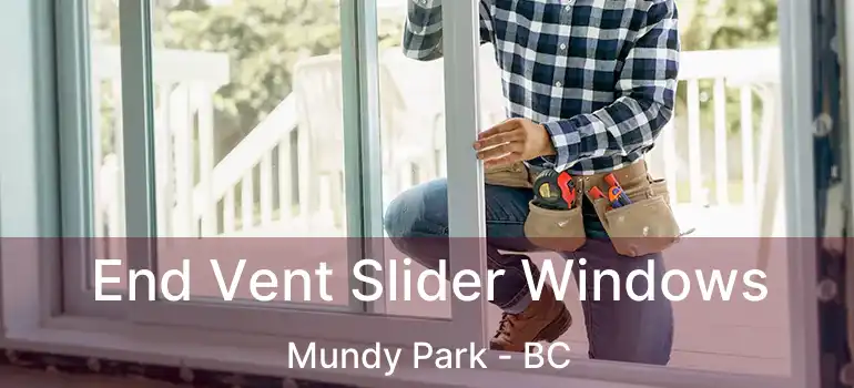 End Vent Slider Windows Mundy Park - BC