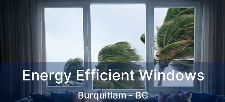 Energy Efficient Windows Burquitlam - BC