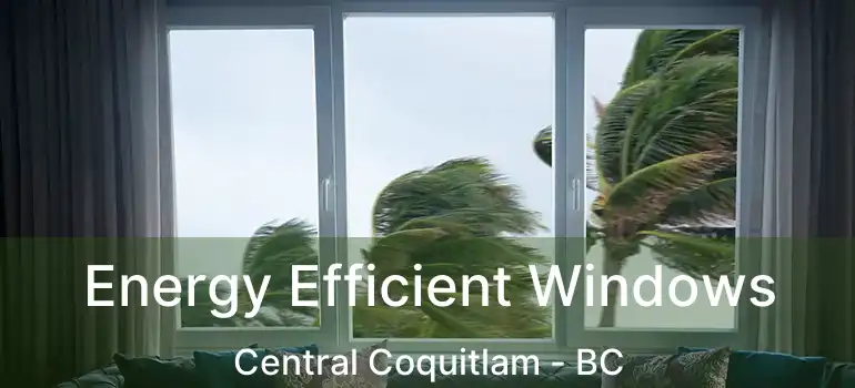  Energy Efficient Windows Central Coquitlam - BC