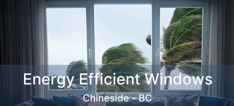  Energy Efficient Windows Chineside - BC