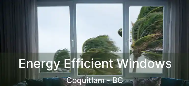  Energy Efficient Windows Coquitlam - BC