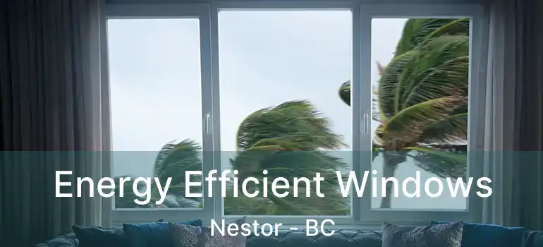  Energy Efficient Windows Nestor - BC
