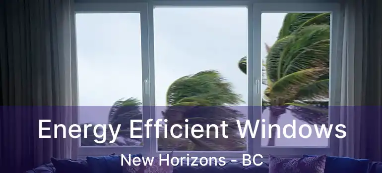  Energy Efficient Windows New Horizons - BC
