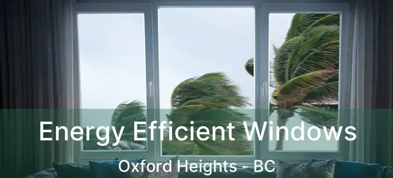  Energy Efficient Windows Oxford Heights - BC