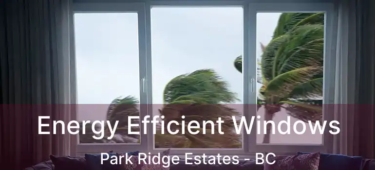  Energy Efficient Windows Park Ridge Estates - BC