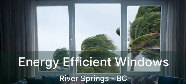  Energy Efficient Windows River Springs - BC