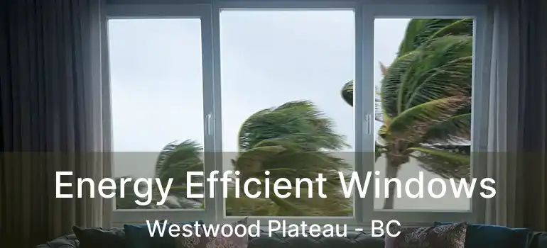  Energy Efficient Windows Westwood Plateau - BC