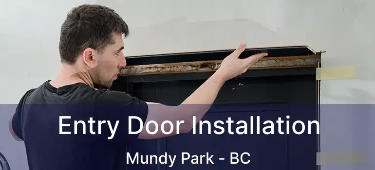  Entry Door Installation Mundy Park - BC