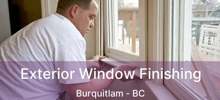  Exterior Window Finishing Burquitlam - BC