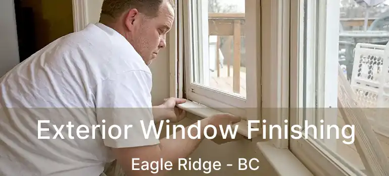  Exterior Window Finishing Eagle Ridge - BC