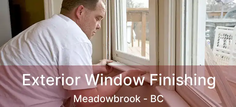  Exterior Window Finishing Meadowbrook - BC