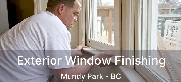  Exterior Window Finishing Mundy Park - BC