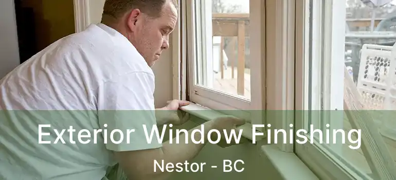  Exterior Window Finishing Nestor - BC