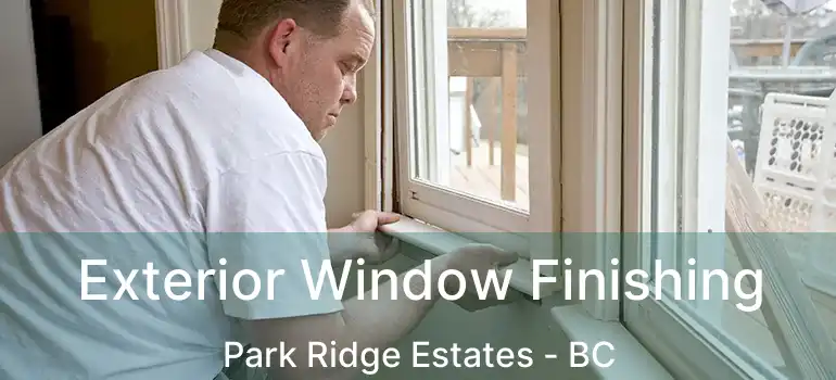  Exterior Window Finishing Park Ridge Estates - BC