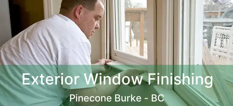  Exterior Window Finishing Pinecone Burke - BC