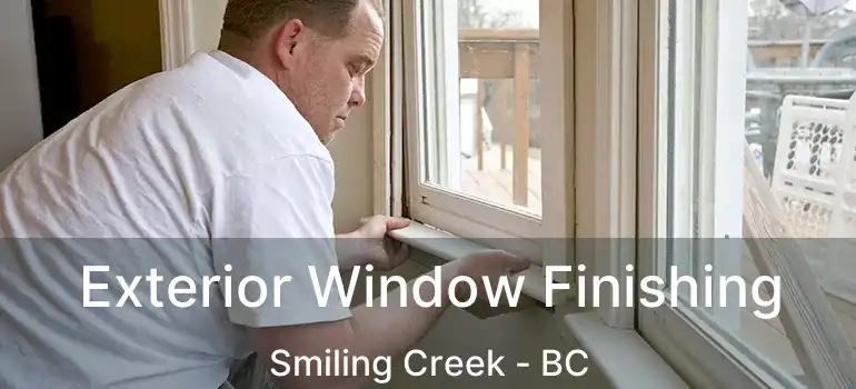  Exterior Window Finishing Smiling Creek - BC