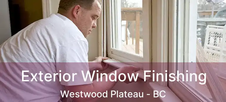  Exterior Window Finishing Westwood Plateau - BC