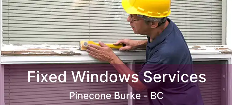  Fixed Windows Services Pinecone Burke - BC