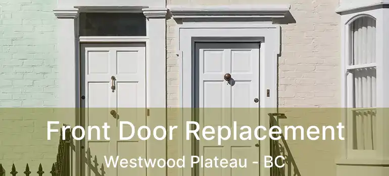  Front Door Replacement Westwood Plateau - BC