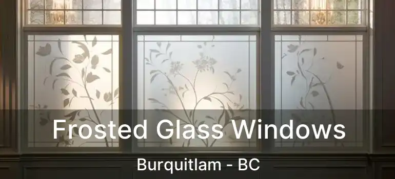  Frosted Glass Windows Burquitlam - BC