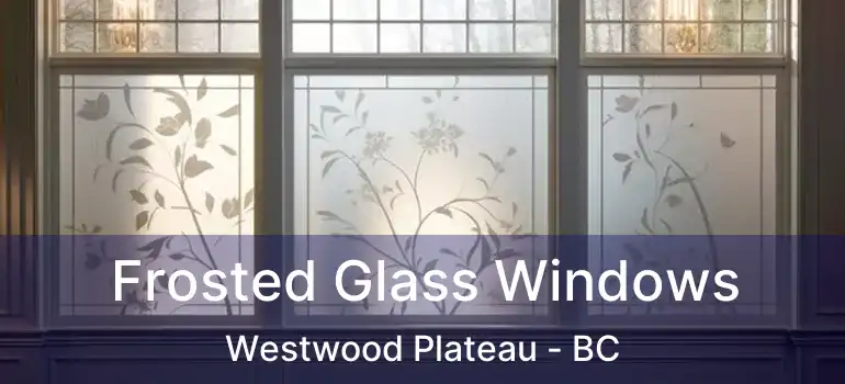  Frosted Glass Windows Westwood Plateau - BC